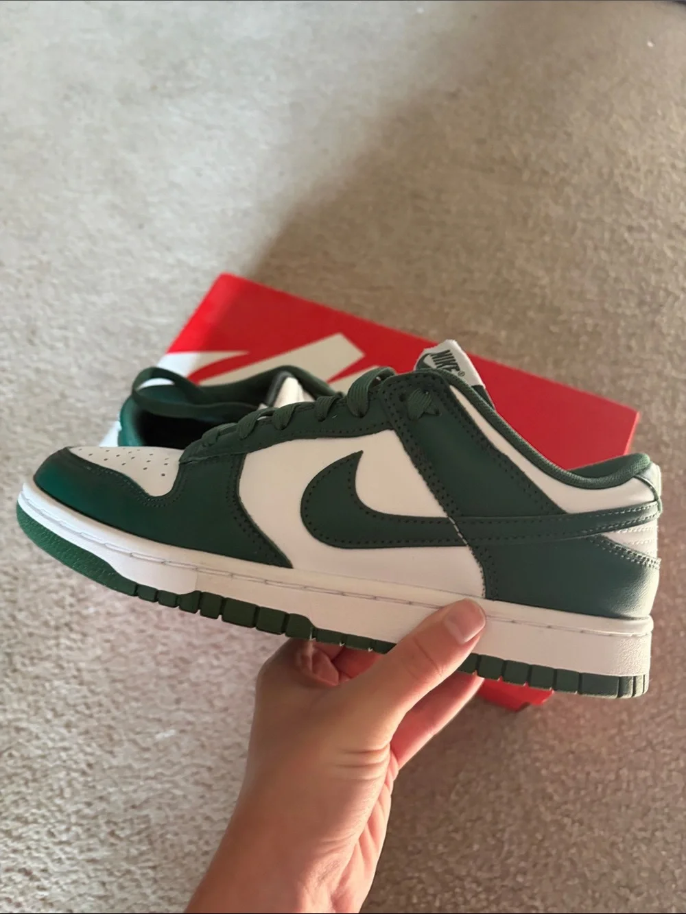 Nike Michigan State Dunks